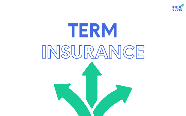 Types of term policies for every situation